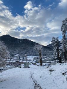 Maison située au Val de Baubère, petite vallée à coté du village de Seix v zime
