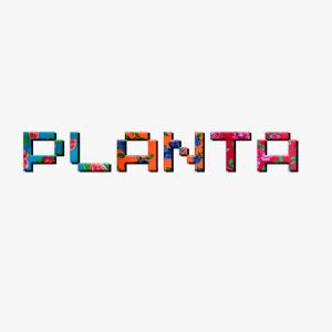 Santa María HuatulcoPlanta Glamp Farm的相册照片