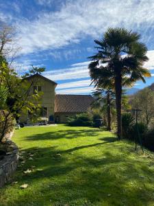 un palmier dans la cour d'une maison dans l'établissement Maison située au Val de Baubère, petite vallée à coté du village de Seix, à Seix