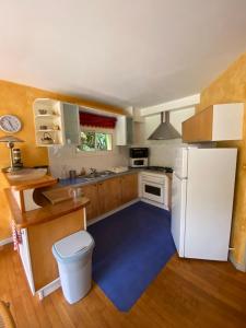 Kuchyňa alebo kuchynka v ubytovaní Maison située au Val de Baubère, petite vallée à coté du village de Seix