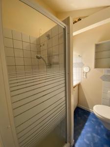 La salle de bains est pourvue d'une douche et de toilettes. dans l'établissement Maison située au Val de Baubère, petite vallée à coté du village de Seix, à Seix