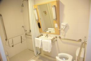 a bathroom with a sink and a toilet and a mirror at Ibis Sertaozinho in Sertãozinho