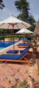un grupo de tumbonas y sombrillas junto a una piscina en Hotel Campestre Arboretto, en Villavicencio