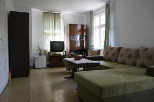 a living room with a couch and a tv at Guest House Pepeliana in Sŭbotkovtsi