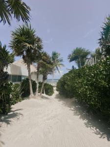 a house on a sandy beach with palm trees at Tuup Oceanfront in Tulum