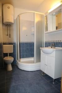 a bathroom with a shower and a toilet and a sink at Apartments by the sea Milna, Hvar - 12244 in Milna