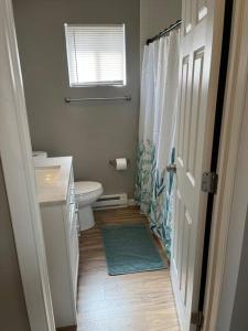 y baño con aseo, lavabo y ducha. en Carter #4 Two bedroom unit near Xavier Downtown en Cincinnati