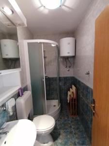een badkamer met een toilet, een douche en een wastafel bij Double Room Crikvenica 12305b in Crikvenica