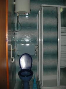 a bathroom with a toilet and a glass shower at Apartments with a parking space Brodarica, Sibenik - 12405 in Šibenik