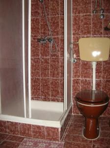 a bathroom with a toilet and a shower at Apartments with a parking space Brodarica, Sibenik - 12405 in Šibenik