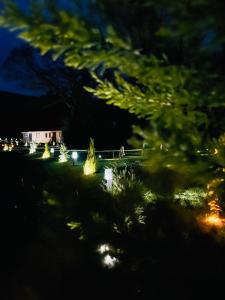 a view of a yard at night with lights at CAYORETREAT STATIC CARAVAN 