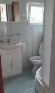 A bathroom at Apartments by the sea Zaglav, Dugi otok - 12424