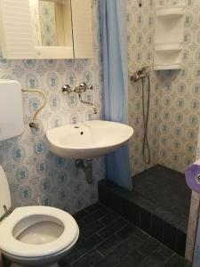 La salle de bains est pourvue de toilettes et d'un lavabo. dans l'établissement Apartments by the sea Kabli, Peljesac - 12475, à Janjina