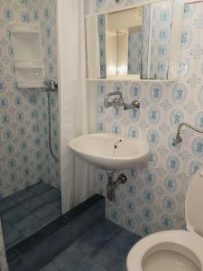 La salle de bains est pourvue d'un lavabo et de toilettes. dans l'établissement Apartments by the sea Kabli, Peljesac - 12475, à Janjina