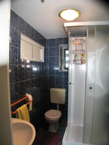 łazienka z toaletą i umywalką w obiekcie Apartments by the sea Sibenik - 12454 w Szybeniku