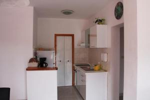 Kuchyň nebo kuchyňský kout v ubytování Apartments by the sea Sali, Dugi otok - 12492