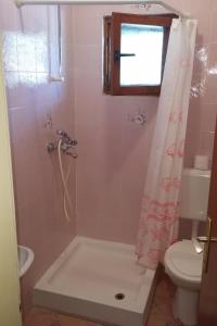 een badkamer met een douche en een toilet bij Apartments by the sea Lopar, Rab - 12534 in Lopar