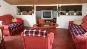 salon z czerwonymi kanapami i telewizorem w obiekcie Apartments by the sea Lopar, Rab - 12534 w mieście Lopar