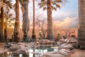 a pool of water with palm trees and ducks in it at The JTH Tucson in Tucson
