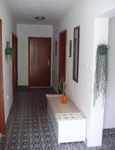 Fotografia z galérie ubytovania Apartments with a parking space Slano, Dubrovnik - 12576 v Slano