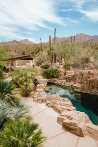 un bassin d'eau au milieu d'un désert dans l'établissement The JTH Tucson, à Tucson