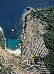 Fotografie z fotogalerie ubytování Seaside secluded apartments Cove Pavija Luka, Korcula - 12758 v destinaci Korčula