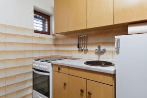 Kuchyň nebo kuchyňský kout v ubytování Apartments with parking spaces Drnis, Zagora - 12769