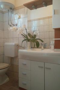 a bathroom with a sink and a toilet and flowers at Apartment Pag 12795a in Pag