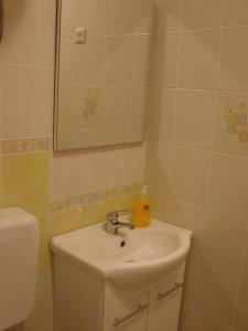 Fotografie z fotogalerie ubytování Family friendly apartments with a swimming pool Pag - 12795 v destinaci Pag