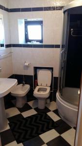 ein Bad mit einem WC, einem Waschbecken und einer Dusche in der Unterkunft Apartments for families with children Stivan, Cres - 12804 in Martinšćica