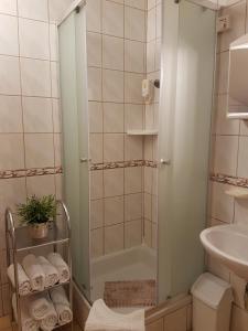 a bathroom with a shower and a sink at Rooms with a parking space Grabovac, Plitvice - 12835 in Rakovica