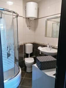 uma casa de banho com um WC, um lavatório e um chuveiro em Apartments with a parking space Mocici, Dubrovnik - 12856 em Cilipi