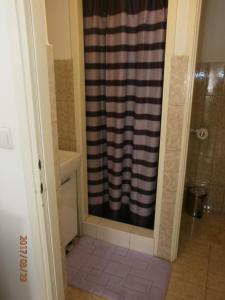 a bathroom with a shower with a shower curtain at Apartments with a parking space Samobor, Prigorje - 12869 in Samobor
