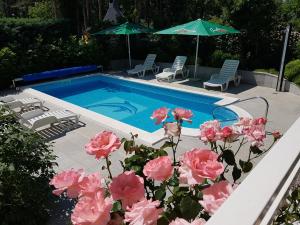 Fotografie z fotogalerie ubytování Apartments with a swimming pool Jadranovo, Crikvenica - 12921 v destinaci Jadranovo