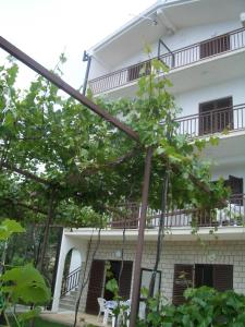 Fotografie z fotogalerie ubytování Apartments by the sea Zaostrog, Makarska - 12935 v destinaci Podaca