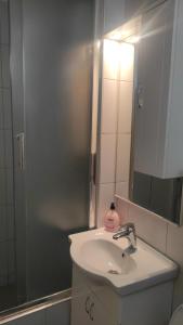 een badkamer met een wastafel en een douche met een spiegel bij Grbavica in Sarajevo