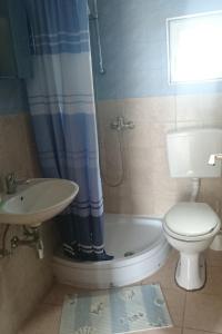 W łazience znajduje się toaleta, prysznic i umywalka. w obiekcie Apartments with a parking space Vir - 12948 w mieście Vir