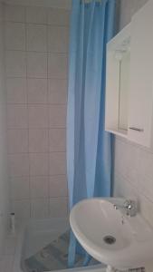 łazienka z umywalką i niebieską zasłoną prysznicową w obiekcie Apartments with a parking space Vir - 12948 w mieście Vir