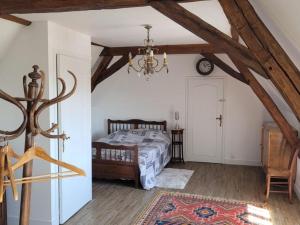 Schlafzimmer mit einem Bett und einem Kronleuchter in der Unterkunft Gîte Ingrandes-de-Touraine, 3 pièces, 4 personnes - FR-1-381-153 in Ingrandes-de-Touraine