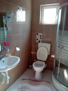 a bathroom with a toilet and a sink at Apartments with a parking space Starigrad, Paklenica - 12992 in Starigrad