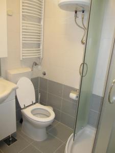 a small bathroom with a toilet and a shower at Apartments by the sea Hvar - 13041 in Hvar