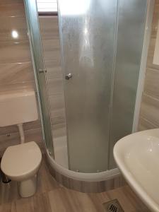 a bathroom with a shower and a toilet and a sink at Apartments by the sea Novalja, Pag - 13033 in Novalja