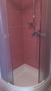 une douche avec une porte en verre dans une salle de bain dans l'établissement Apartments by the sea Kali, Ugljan - 13147, à Kali