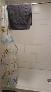 uma cortina de chuveiro na casa de banho com uma toalha em Lamm - Wohnung 2 em Spiegelberg
