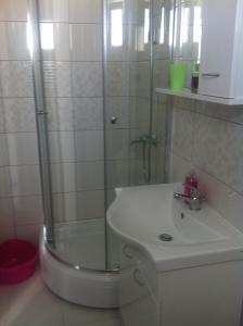 Koupelna v ubytování Apartments by the sea Gradac, Makarska - 13181