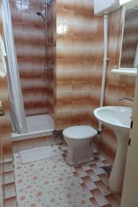 a bathroom with a toilet and a shower and a sink at Apartments by the sea Broce, Peljesac - 13182 in Ston