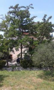a group of trees and bushes in front of a building at Apartments with a parking space Gradac, Makarska - 13196 in Gradac