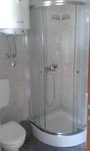 ein Bad mit einer Dusche und einem WC in der Unterkunft Apartments with a parking space Gradac, Makarska - 13196 in Gradac