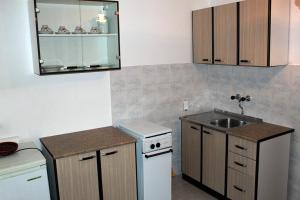 a small kitchen with a sink and a counter at Apartments with parking space Novalja, Pag - 13200 in Novalja