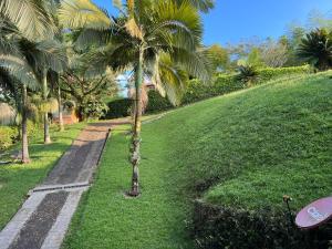 a palm tree in the middle of a walkway at Casa Campestre Veracruz in Pereira